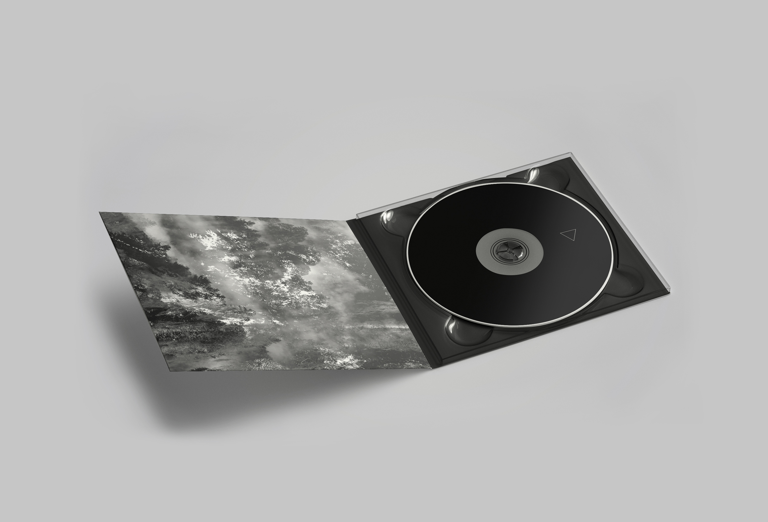 Flawed - Strangers album artwork and CD packaging design.